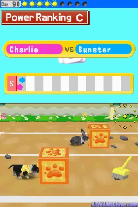 My Pet Shop (USA) (En,Fr,De,Es,It) screen shot game playing